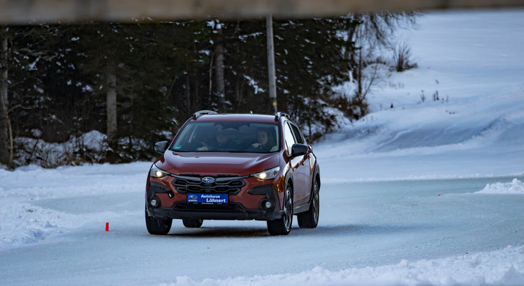 Galeriebild zu Ice Experience 2026-26