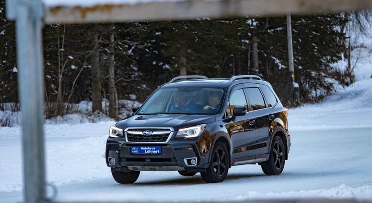 Galeriebild zu Ice Experience 2026-24