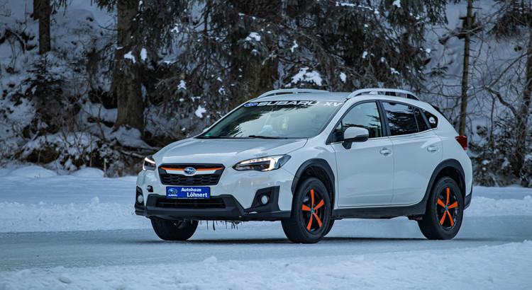 Galeriebild zu Ice Experience 2026-20