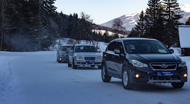 Galeriebild zu Ice Experience 2026-22