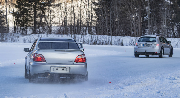 Galeriebild zu Ice Experience 2026-14