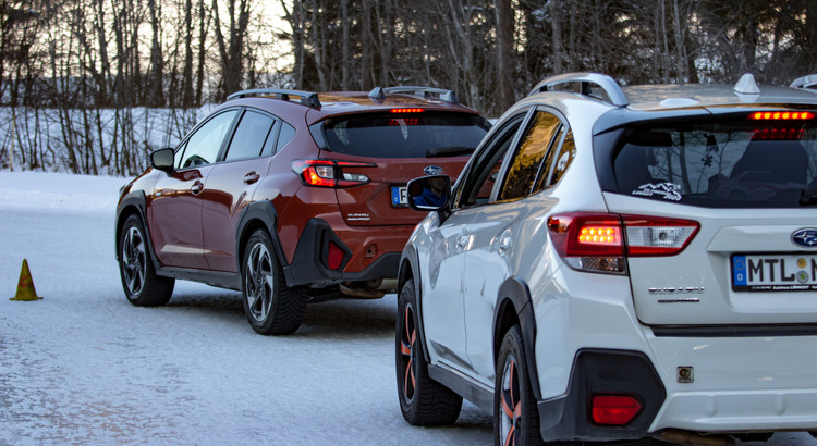 Galeriebild zu Ice Experience 2026-25