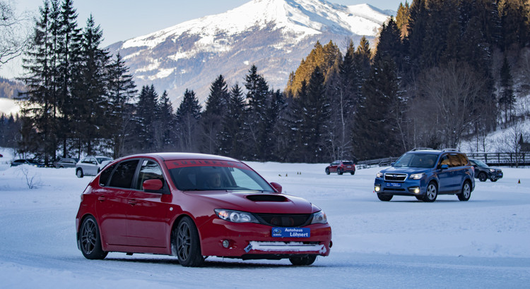 Galeriebild zu Ice Experience 2026-3