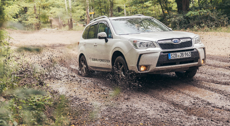 Galeriebild zu Offroadtag für Subaru /Isuzu Freunde -4