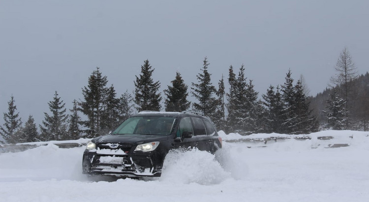 Galeriebild zu Eis Drift 2019 Österreich Lungau-9